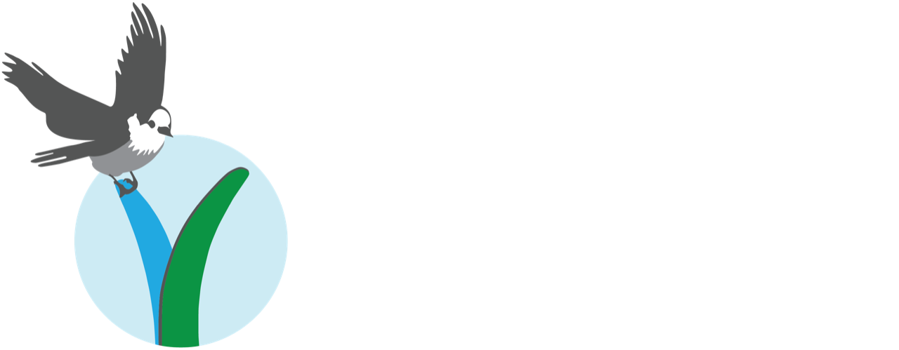 stage.whiskeyjacknordic.ca