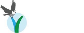 stage.whiskeyjacknordic.ca